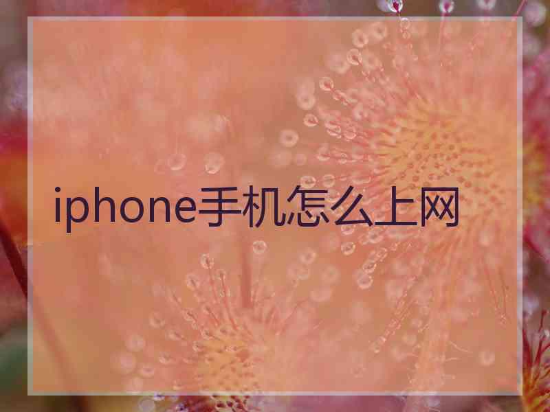 iphone手机怎么上网