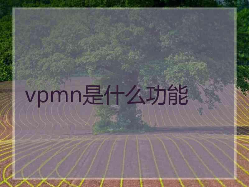 vpmn是什么功能