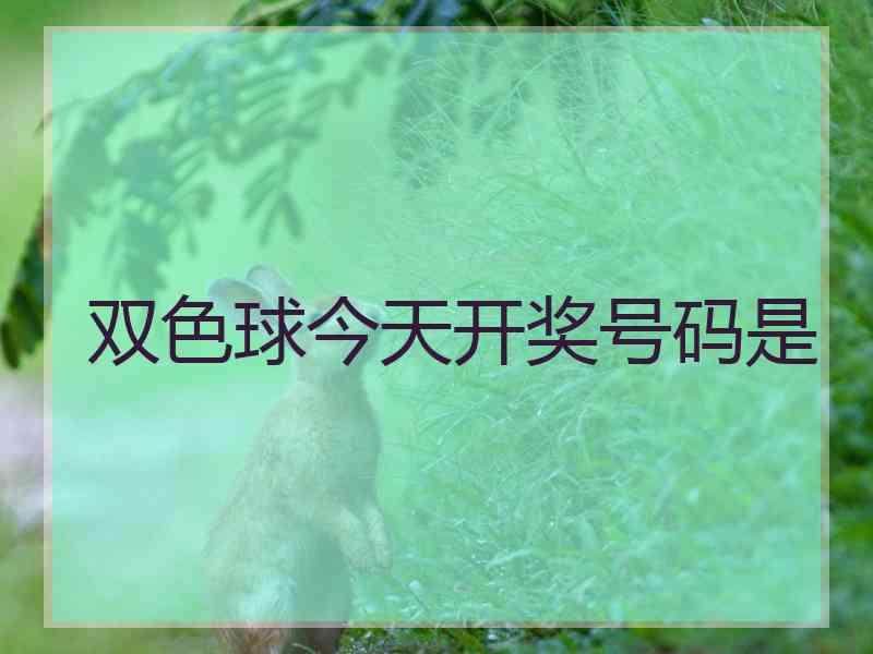 双色球今天开奖号码是