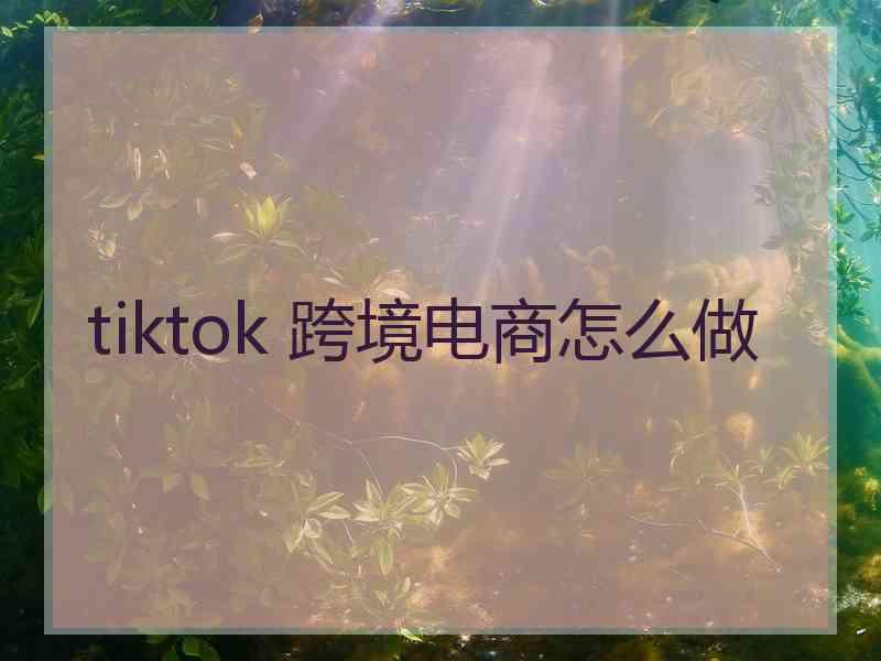 tiktok 跨境电商怎么做