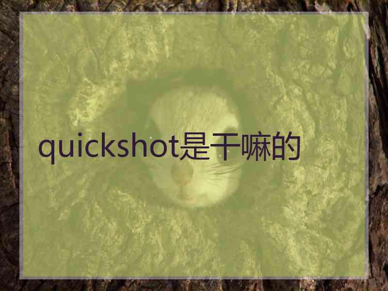 quickshot是干嘛的