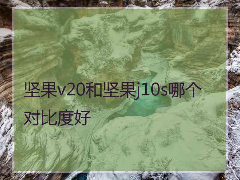 坚果v20和坚果j10s哪个对比度好