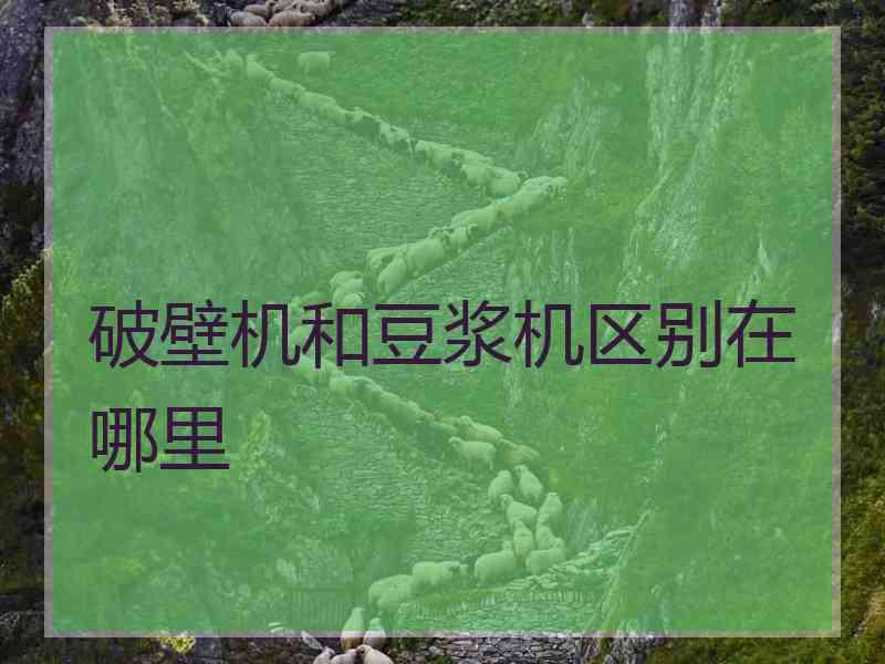 破壁机和豆浆机区别在哪里