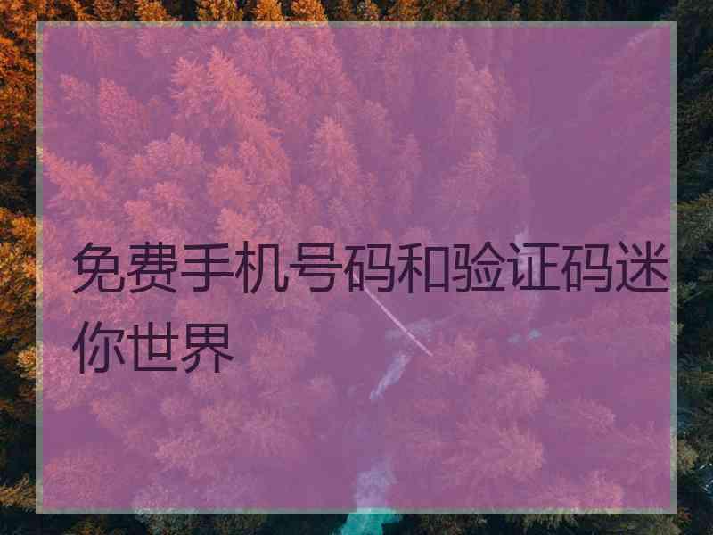 免费手机号码和验证码迷你世界