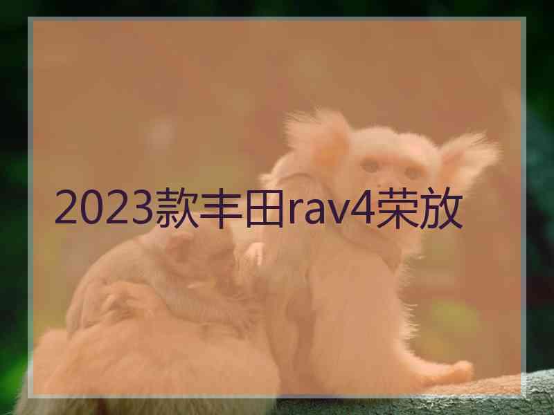 2023款丰田rav4荣放