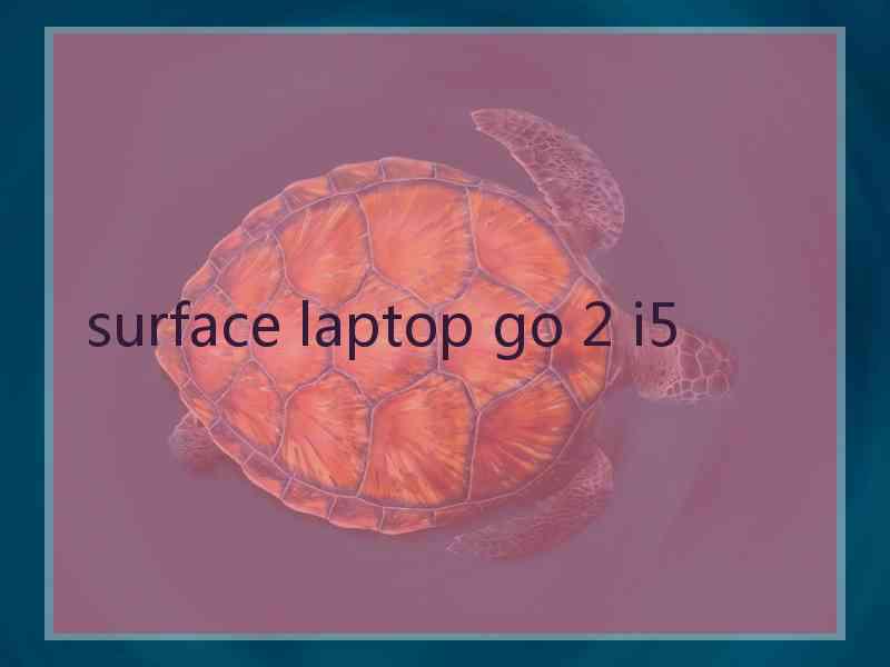 surface laptop go 2 i5