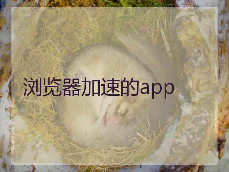 浏览器加速的app