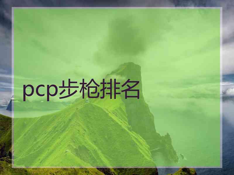 pcp步枪排名