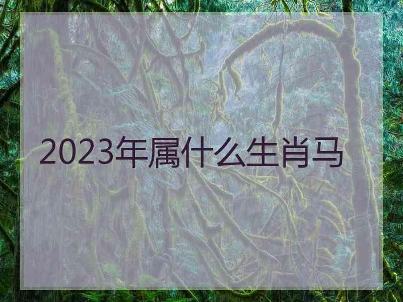 2023年属什么生肖马