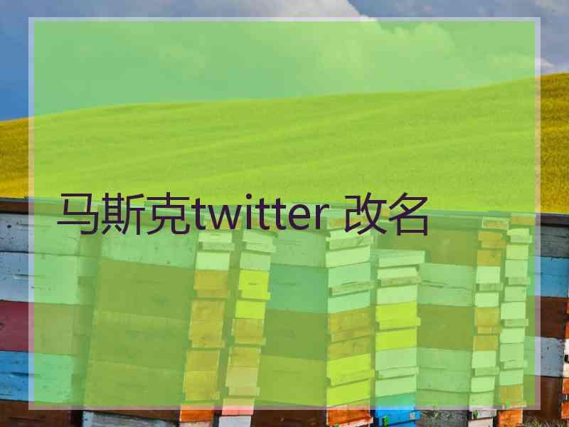 马斯克twitter 改名