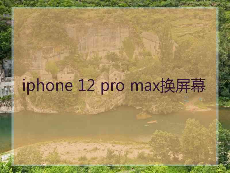 iphone 12 pro max换屏幕