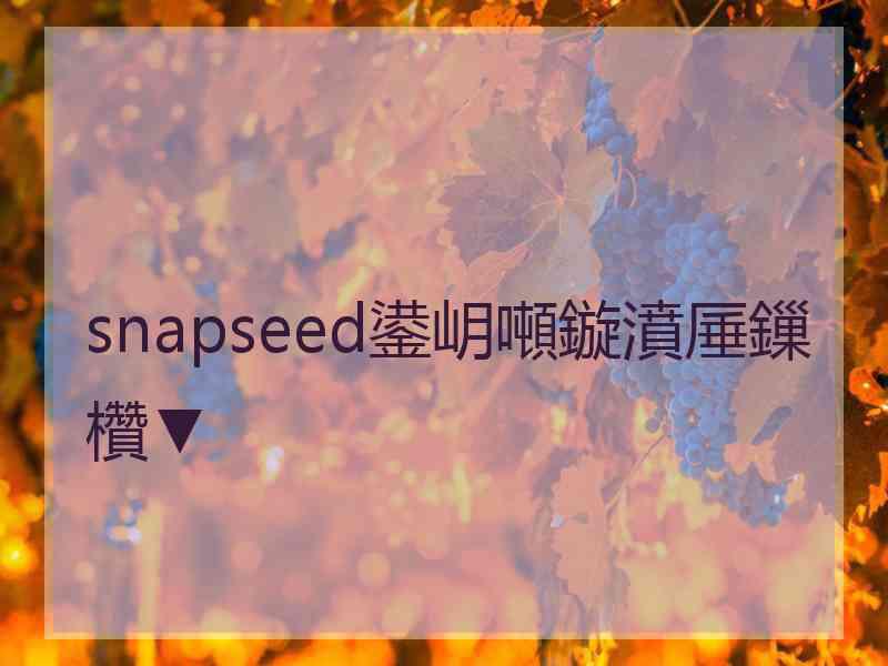 snapseed鍙岄噸鏇濆厜鏁欑▼