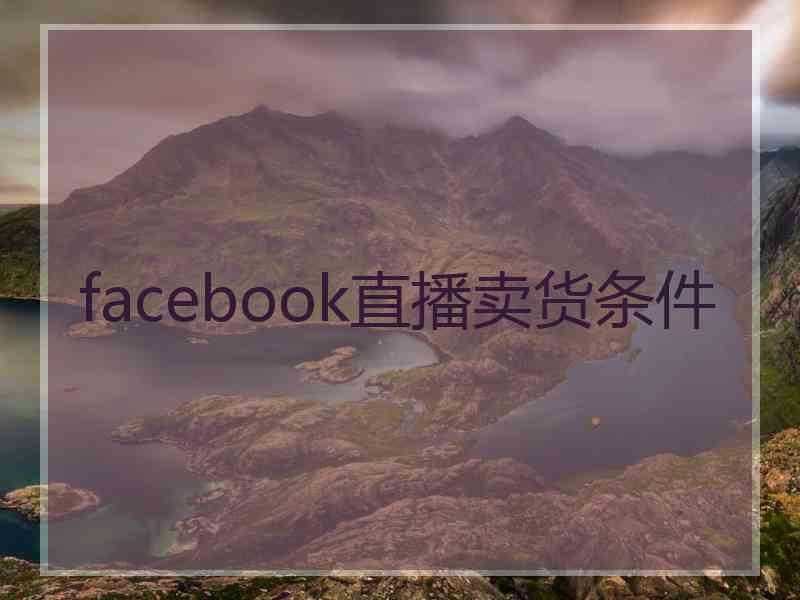 facebook直播卖货条件