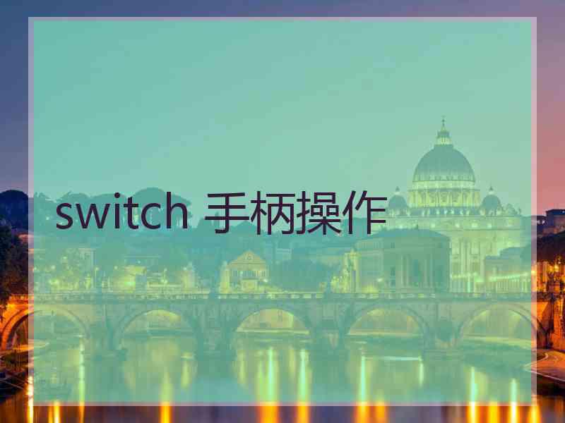 switch 手柄操作