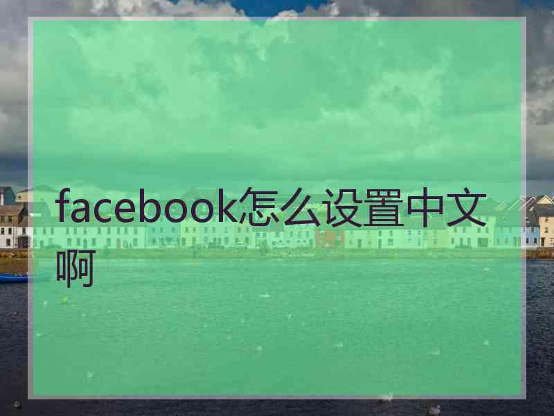 facebook怎么设置中文啊