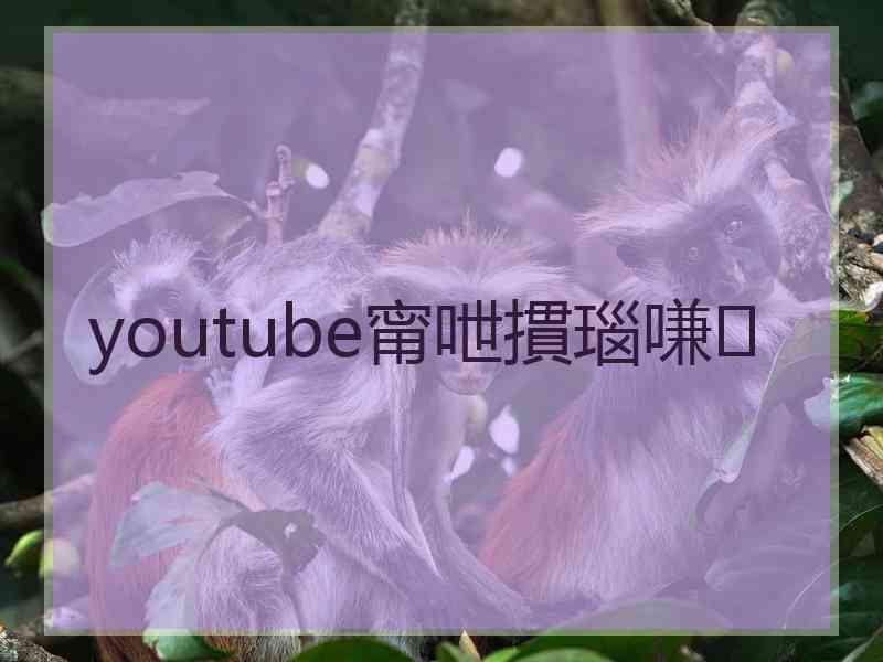 youtube甯呭摜瑙嗛