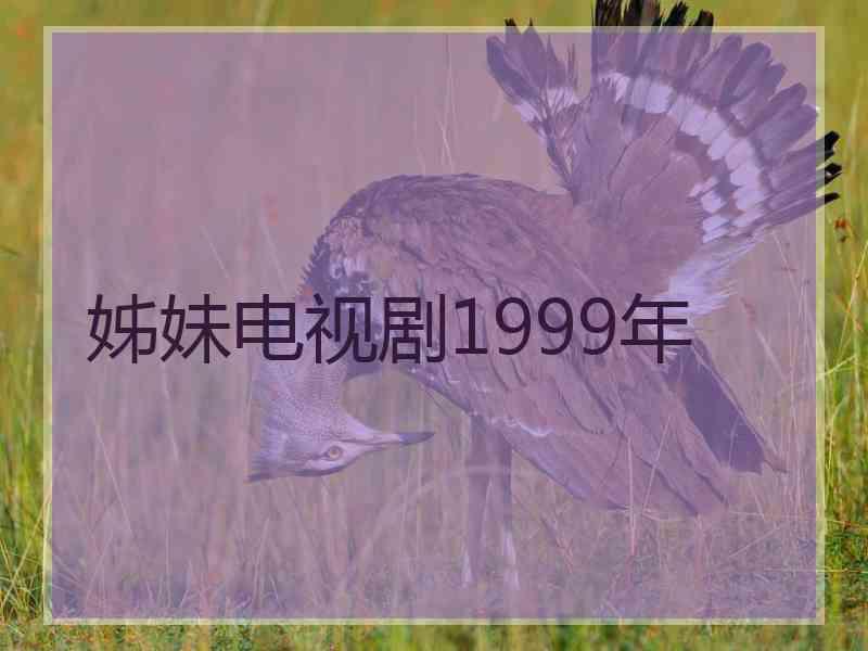 姊妹电视剧1999年