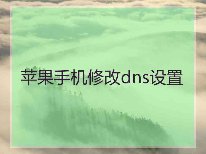 苹果手机修改dns设置