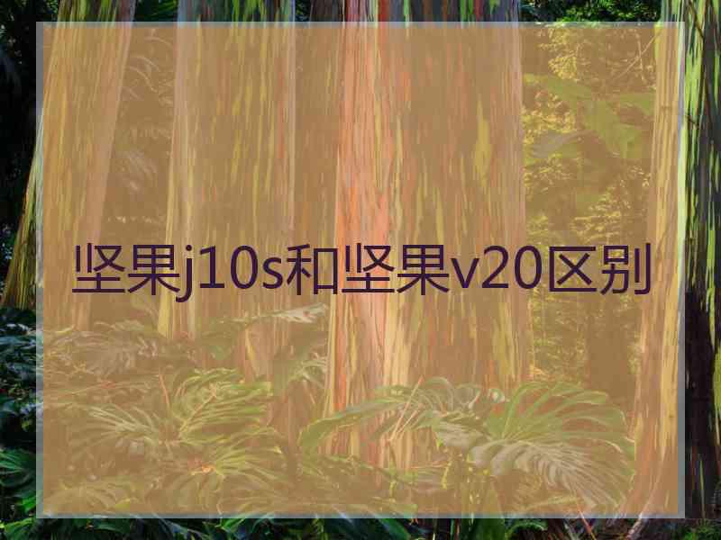 坚果j10s和坚果v20区别