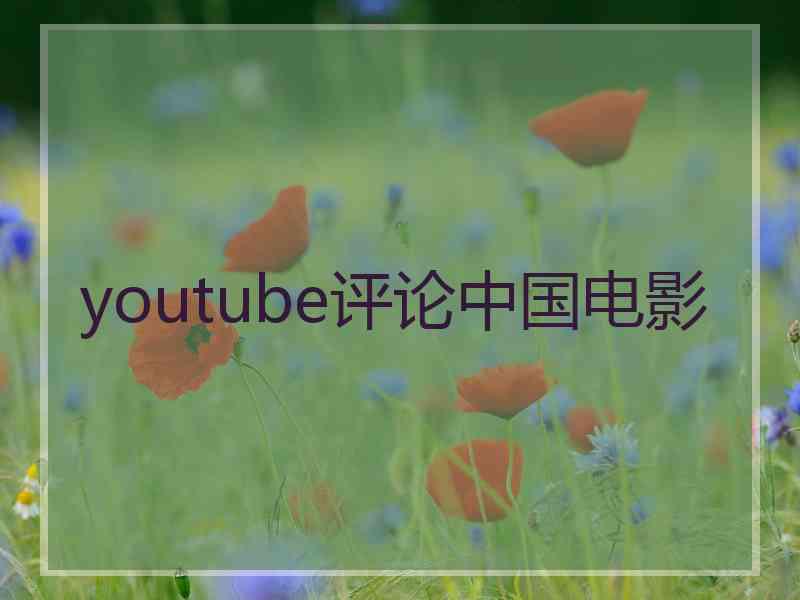 youtube评论中国电影