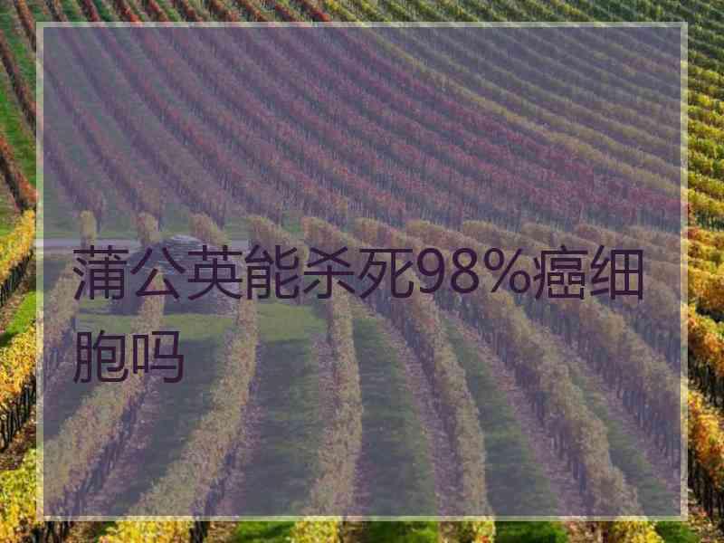 蒲公英能杀死98%癌细胞吗