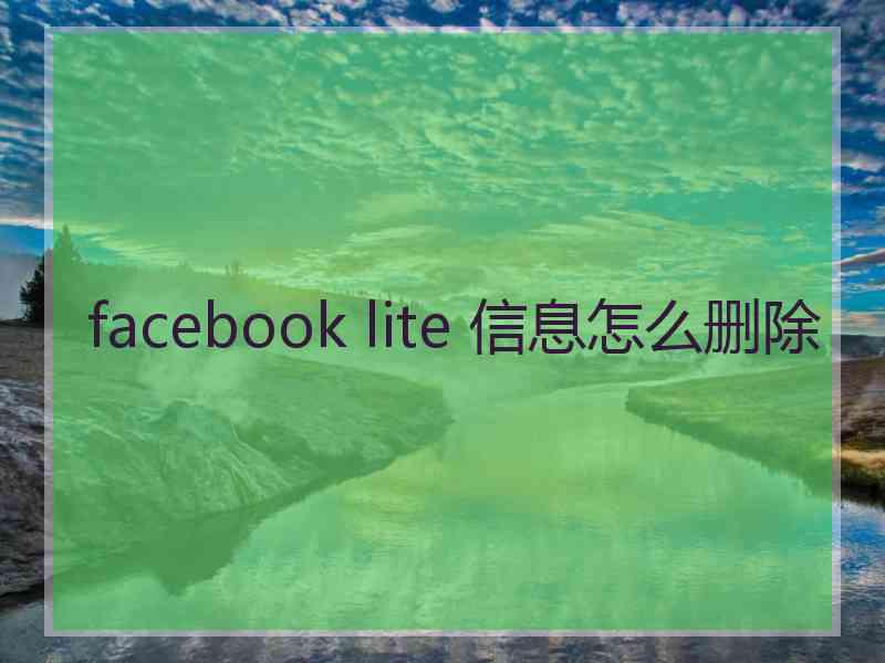 facebook lite 信息怎么删除