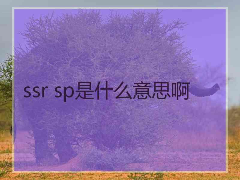 ssr sp是什么意思啊