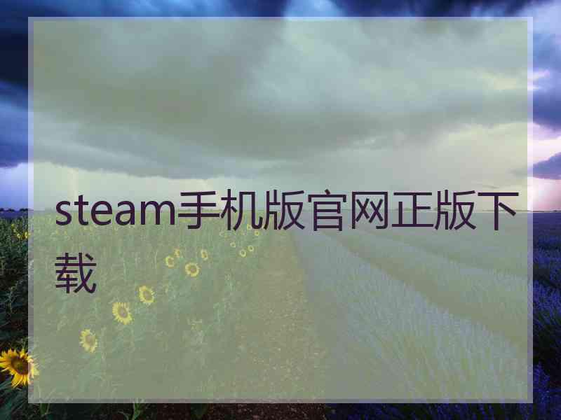 steam手机版官网正版下载