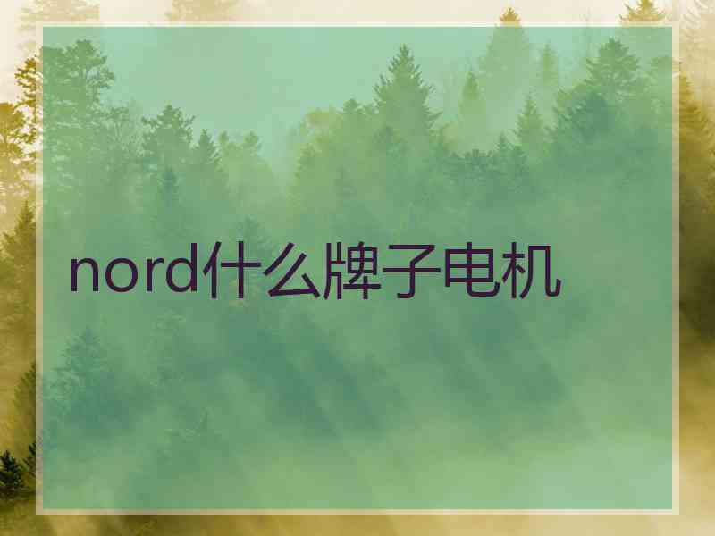 nord什么牌子电机