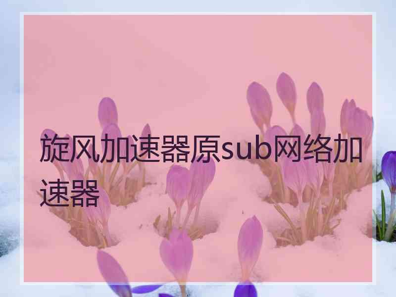 旋风加速器原sub网络加速器