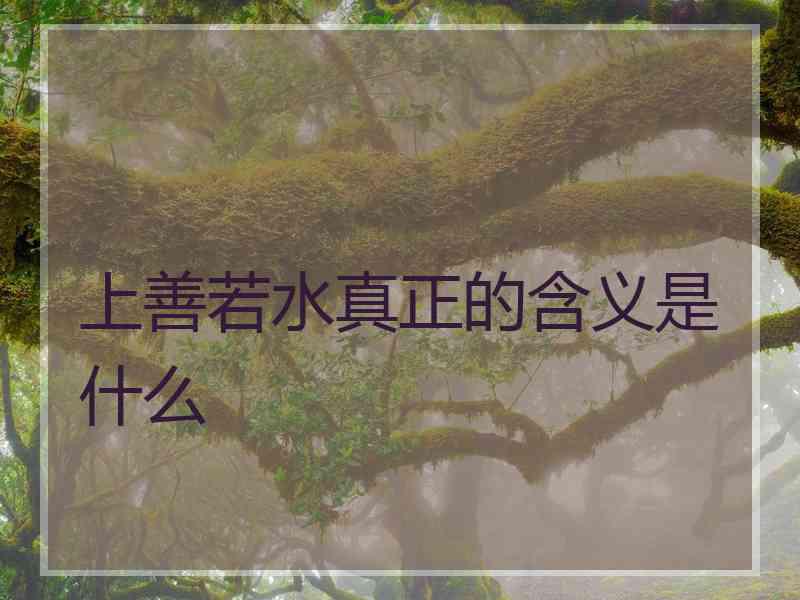 上善若水真正的含义是什么