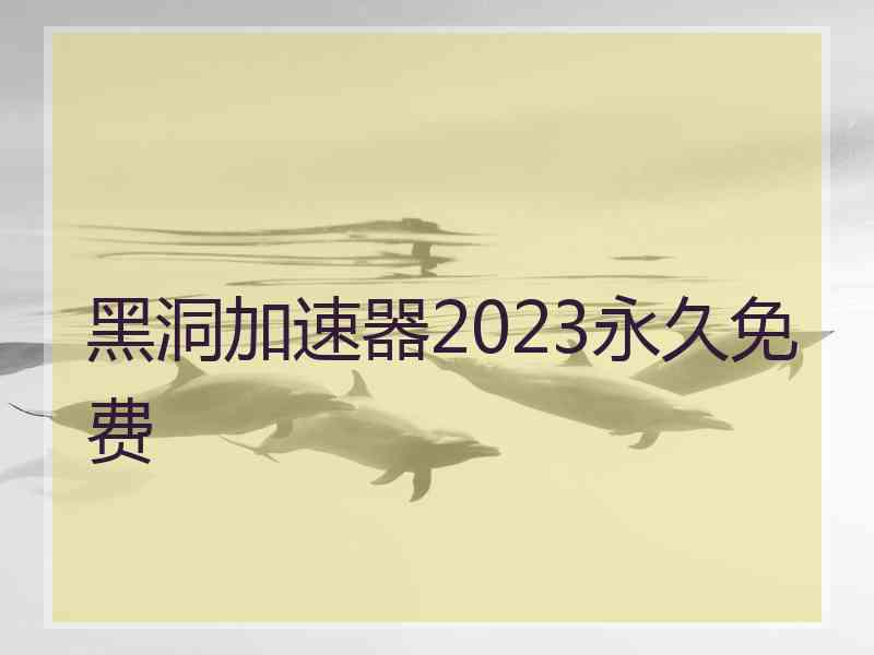 黑洞加速器2023永久免费