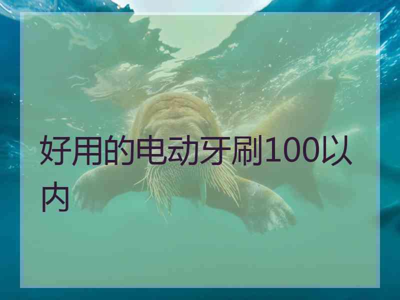 好用的电动牙刷100以内