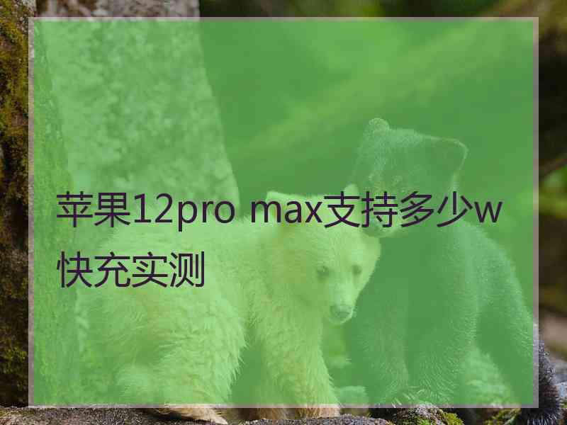 苹果12pro max支持多少w快充实测