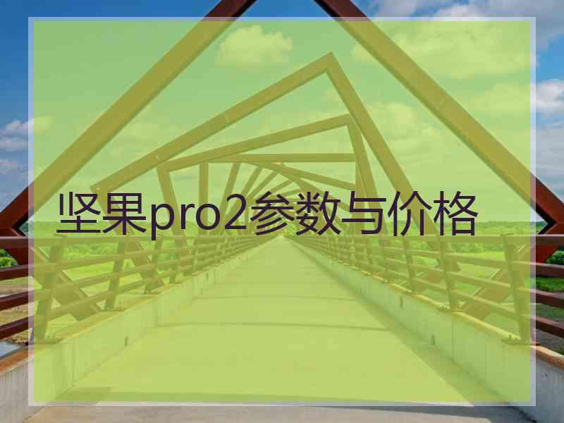 坚果pro2参数与价格