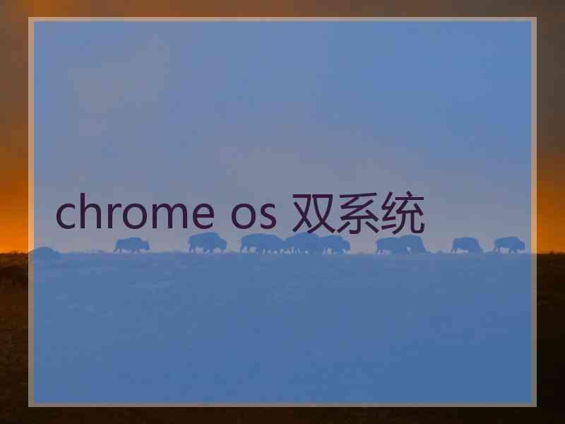 chrome os 双系统