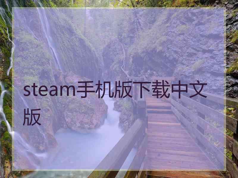 steam手机版下载中文版