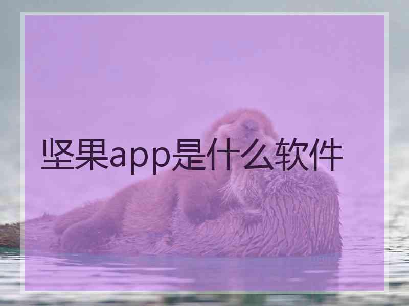 坚果app是什么软件