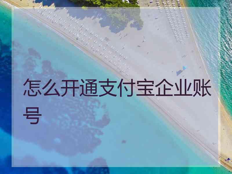 怎么开通支付宝企业账号