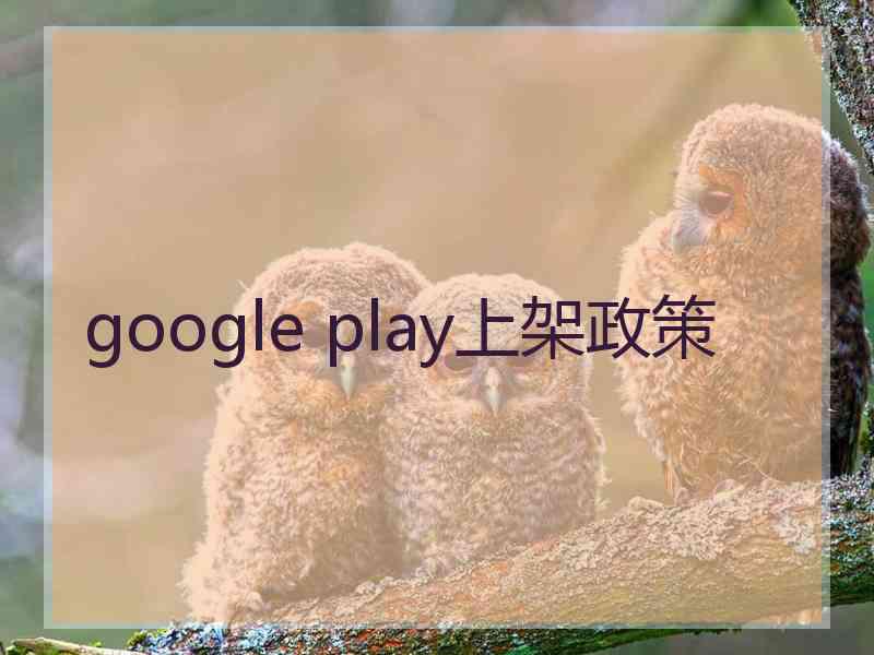 google play上架政策