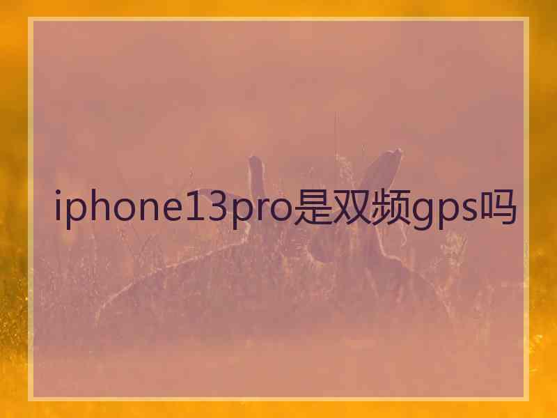 iphone13pro是双频gps吗