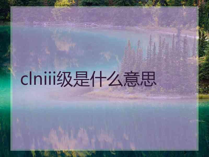 clniii级是什么意思