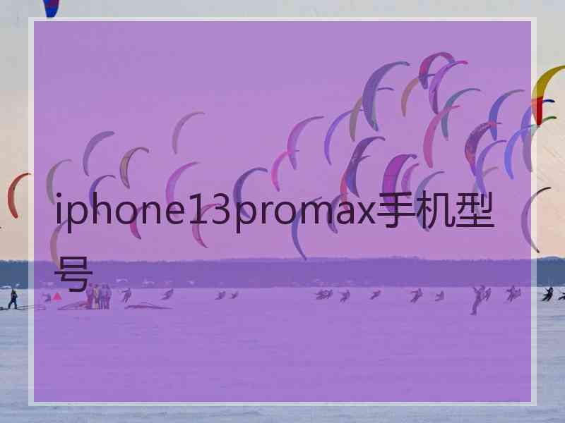 iphone13promax手机型号