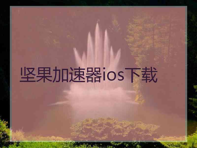 坚果加速器ios下载