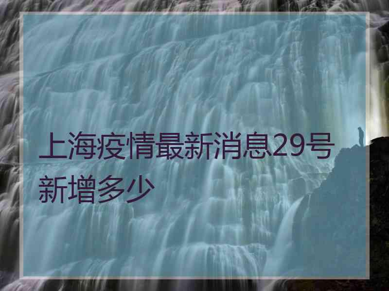 上海疫情最新消息29号新增多少