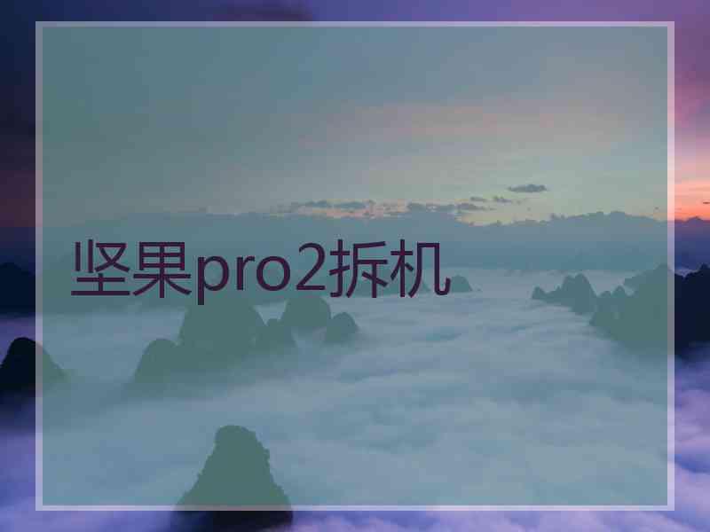 坚果pro2拆机