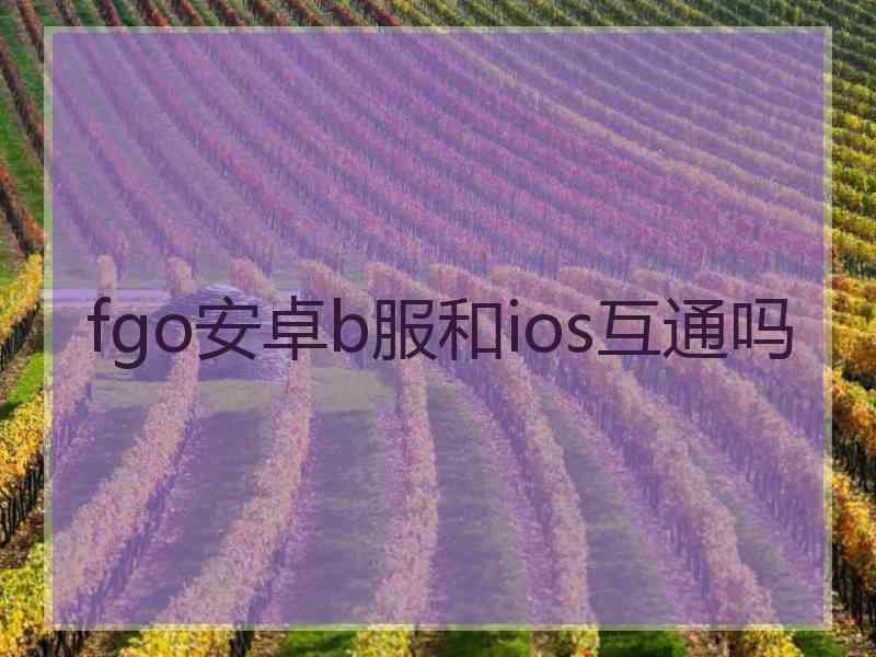 fgo安卓b服和ios互通吗