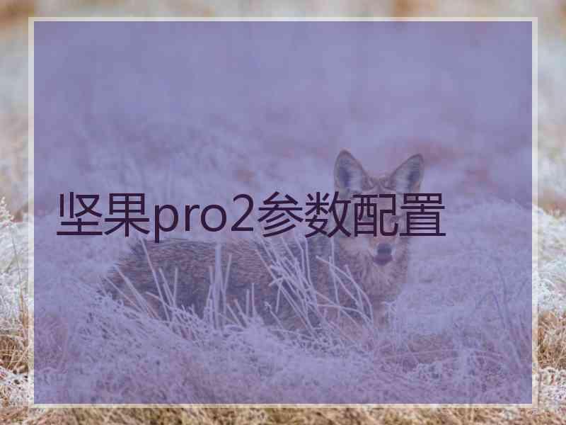 坚果pro2参数配置