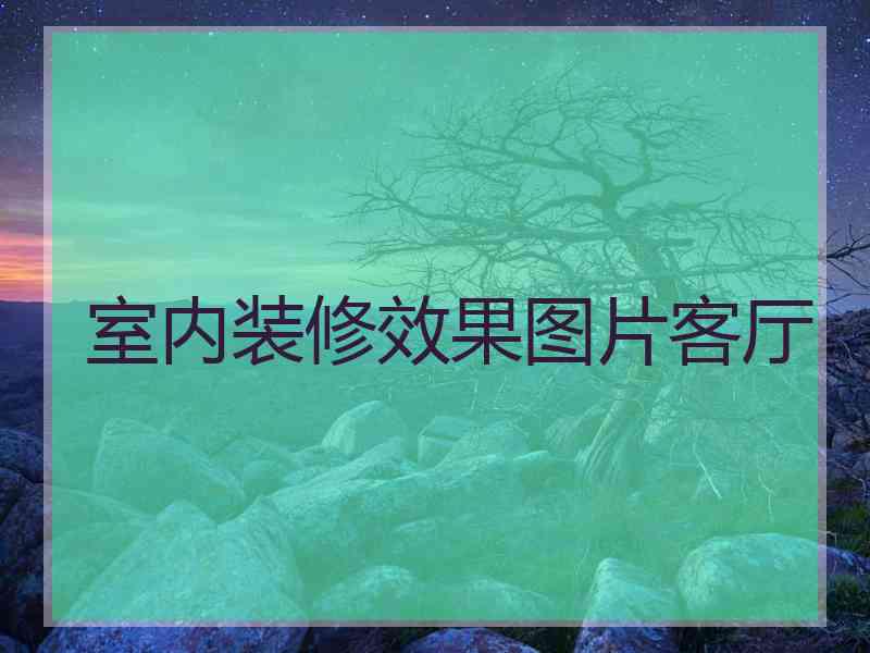 室内装修效果图片客厅