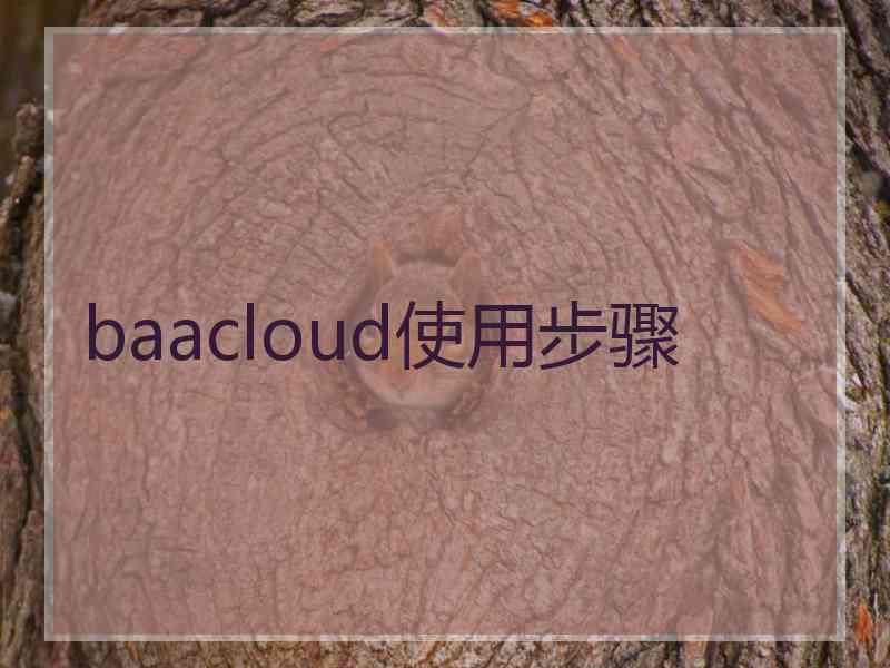 baacloud使用步骤